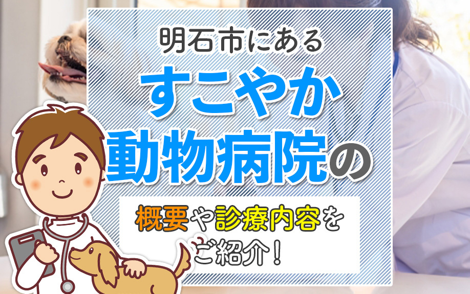明石市にある「すこやか動物病院」の概要や診療内容をご紹介！
