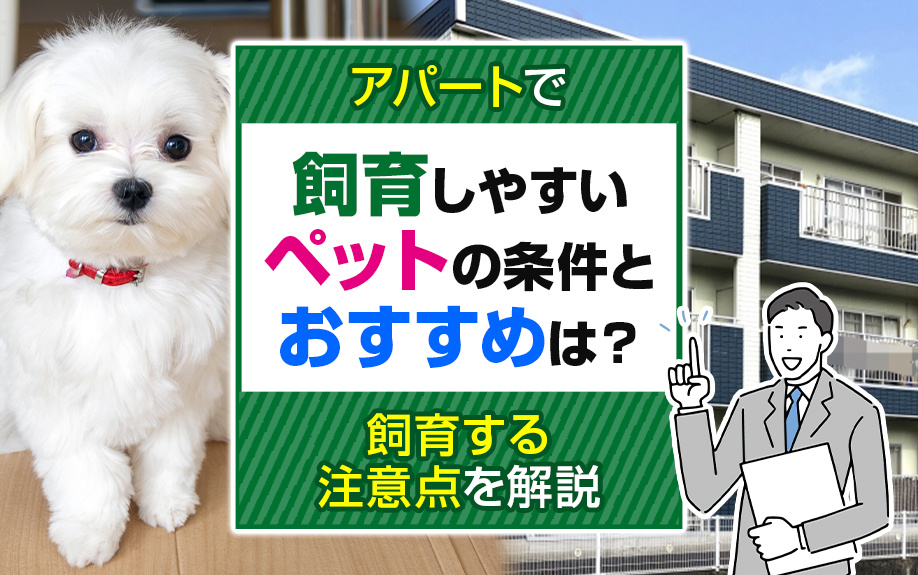 アパートで飼育しやすいペットの条件とおすすめは？飼育する注意点を解説の画像