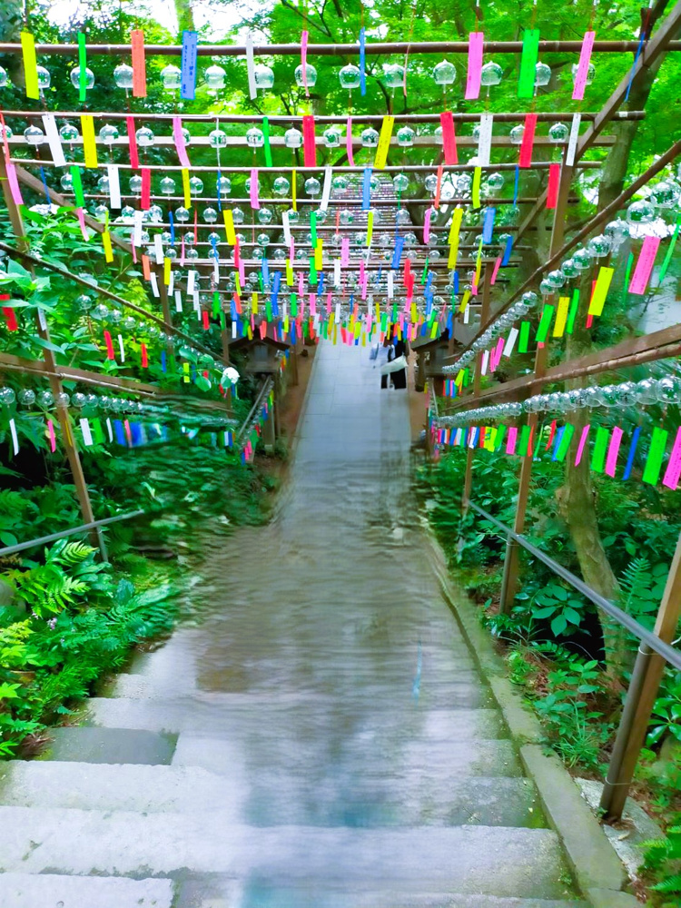 梅雨の晴れ間の画像