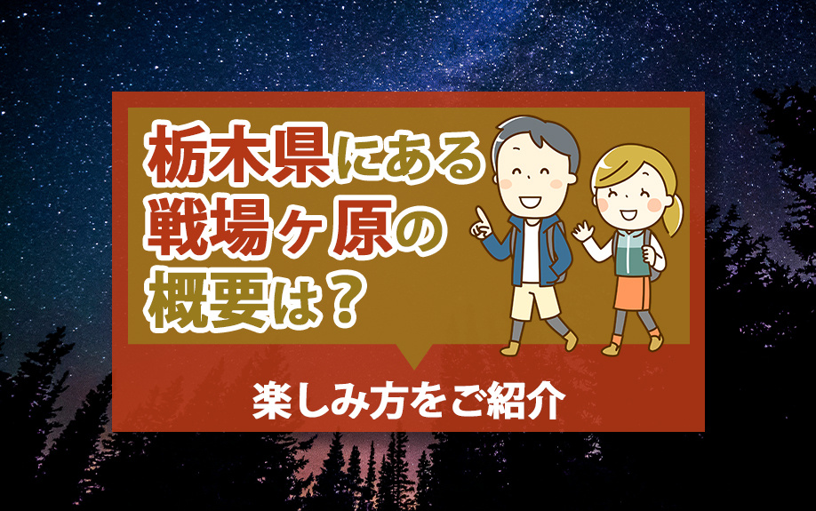 栃木県にある戦場ヶ原の概要は？楽しみ方をご紹介