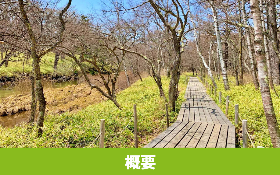 栃木県にある戦場ヶ原の概要