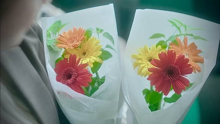 貴方に3本のガーベラを捧げますの画像