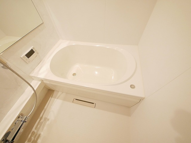 シャーメゾン　杉ヶ町の室内写真3