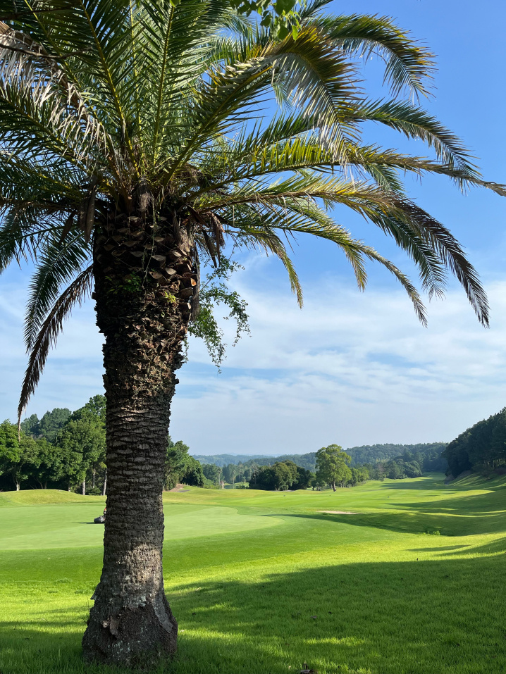 ここはどこでしょう～？！の画像