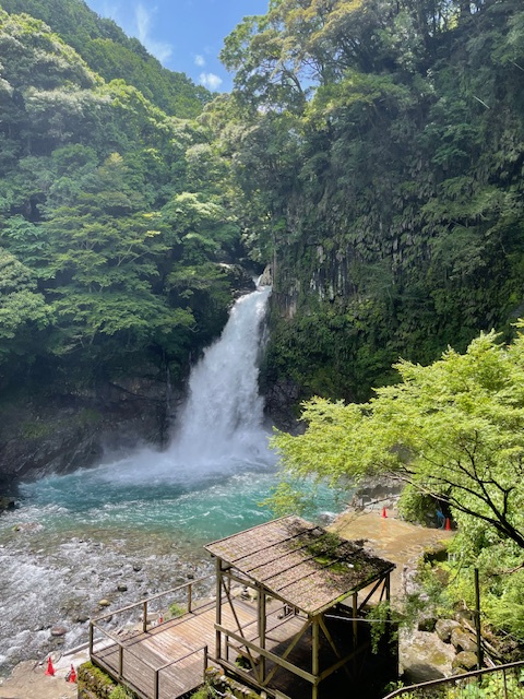 伊豆への画像