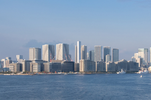 HARUMI FLAG 2024年6月の販売動向の画像