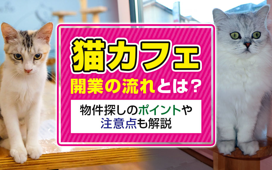 「猫カフェ」開業の流れとは？物件探しのポイントや注意点も解説の画像
