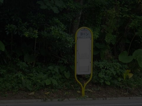 急ブレーキの理由とは！？の画像