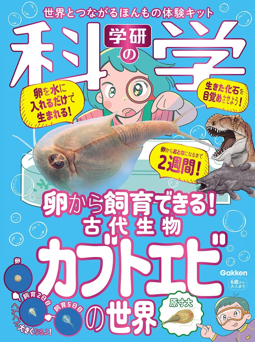 ７月１１日：カブトエビの世界の画像