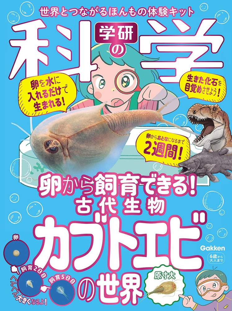 ７月１１日：カブトエビの世界の画像