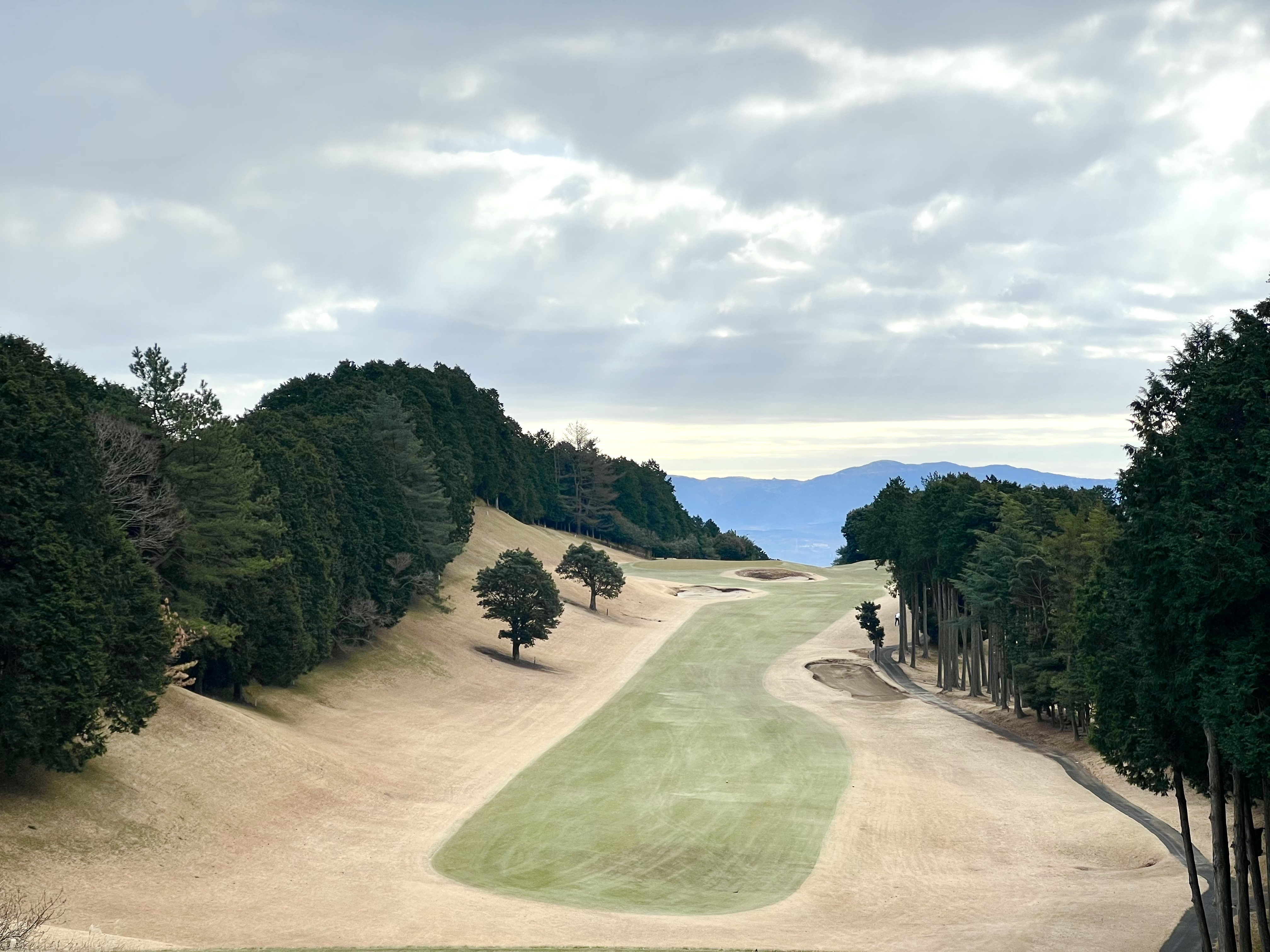 初めまして、営業担当の森と申します。の画像