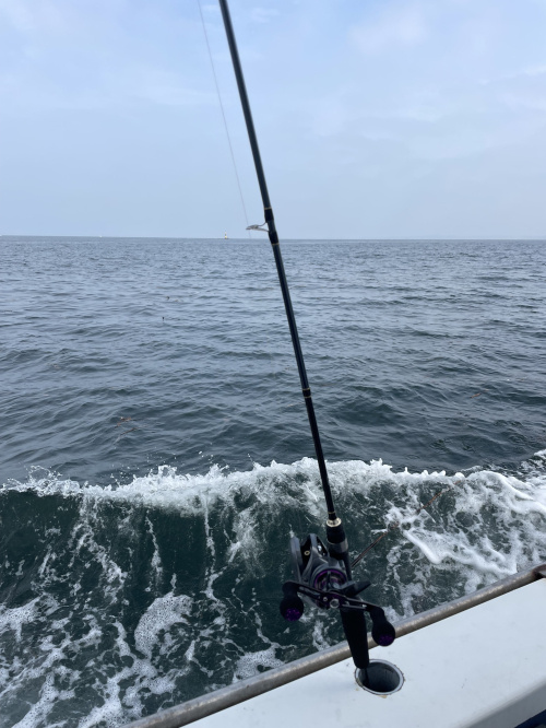 海釣り～～の画像