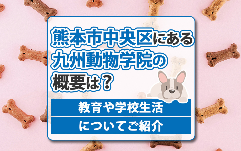 熊本市中央区にある九州動物学院の概要は？教育や学校生活についてご紹介の画像