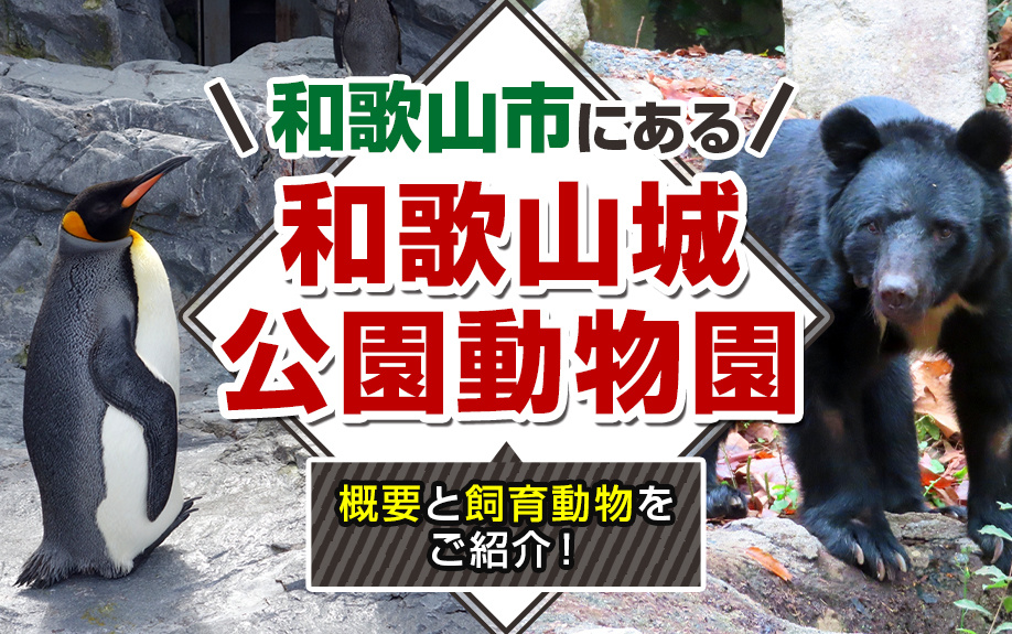 和歌山市にある和歌山城公園動物園の概要と飼育動物をご紹介！の画像