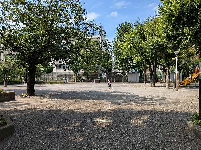 台東区夏期ラジオ体操会の画像