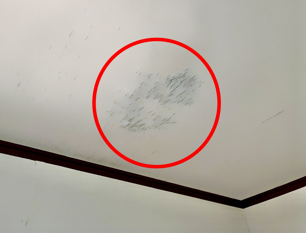 中古一戸建て住宅購入時のポイントと注意点⑩壁と天井にカビ？雨漏りが原因かもの画像