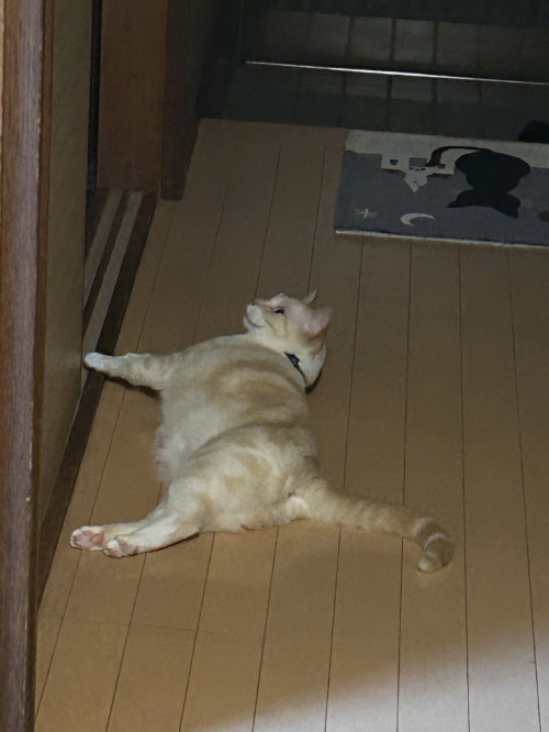 暑い季節の画像