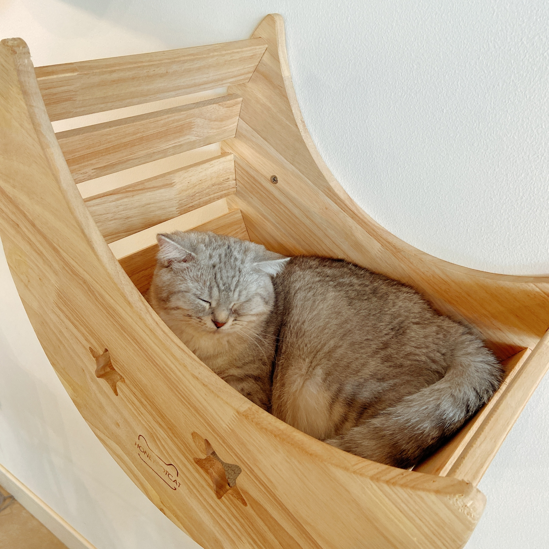 横浜のペット可賃貸で猫との暮らしを快適にするインテリアとは！？の画像
