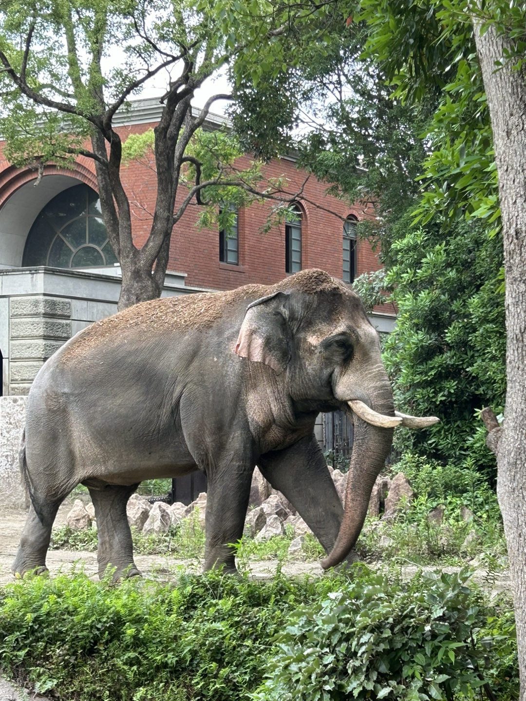 動物園に行ってきました!の画像