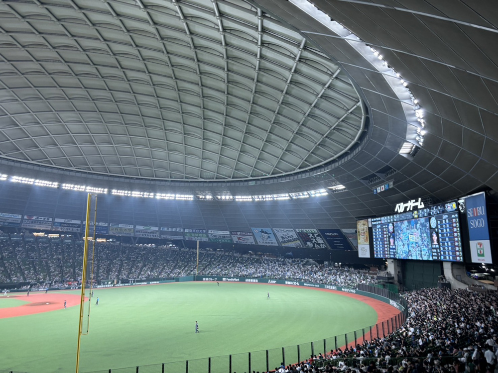 頑張れマリーンズ８の画像