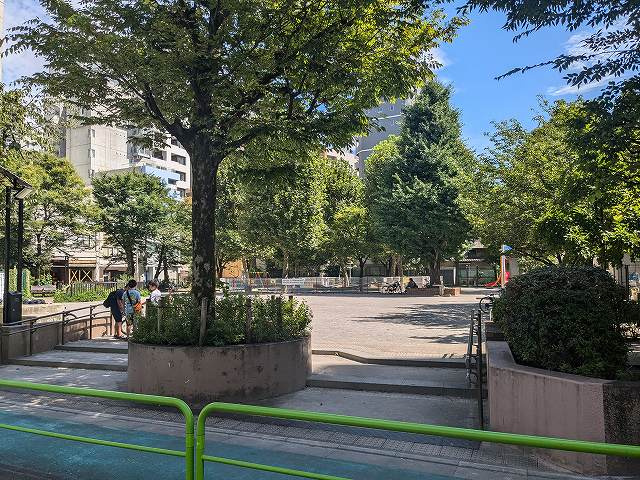 精華公園夏期ラジオ体操会の画像