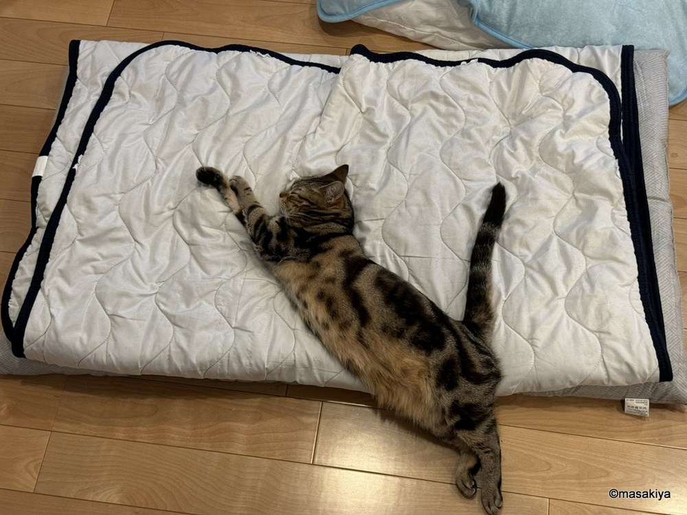 ぎっくり腰の画像