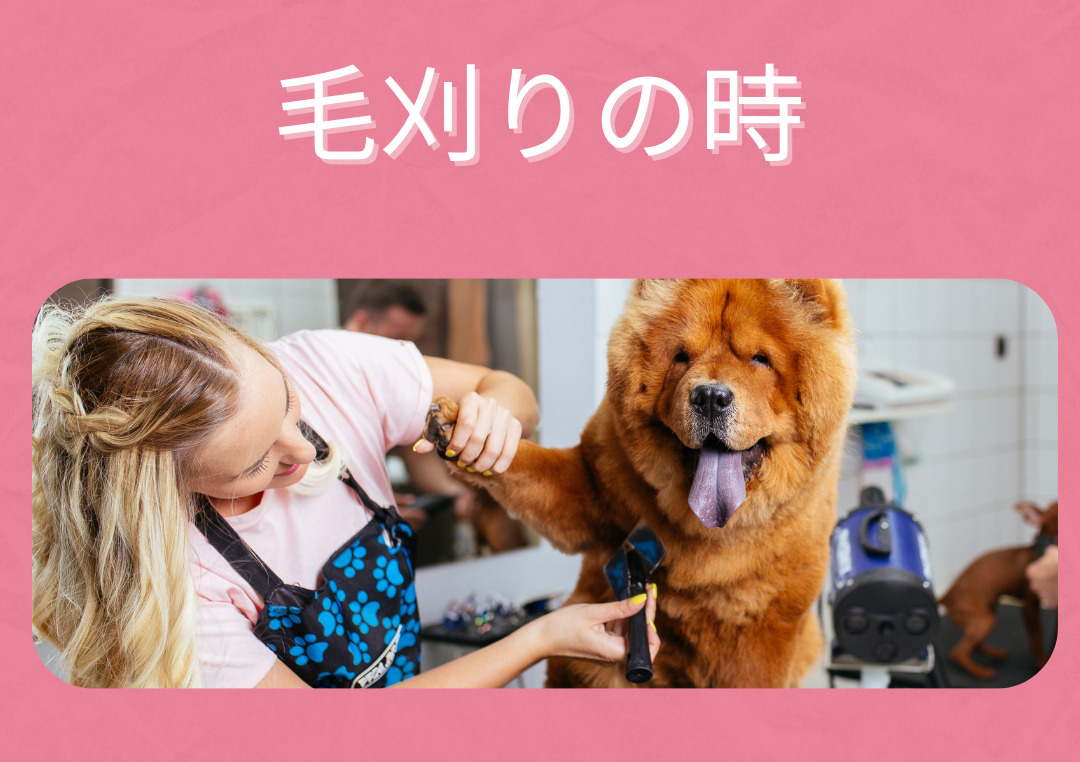 暑い日が続くのでの画像