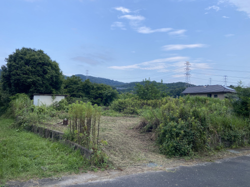 草刈り&樹木伐採の画像