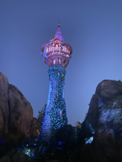 夏期休暇第一弾の画像