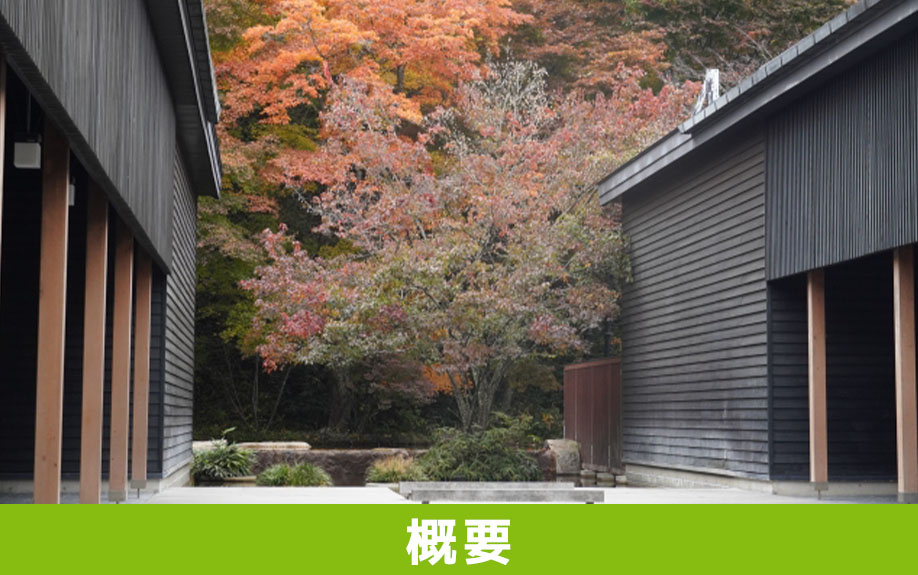 「星野温泉 トンボの湯」の概要