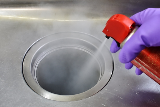 賃貸物件のコバエ駆除はどうする？予防方法もご紹介