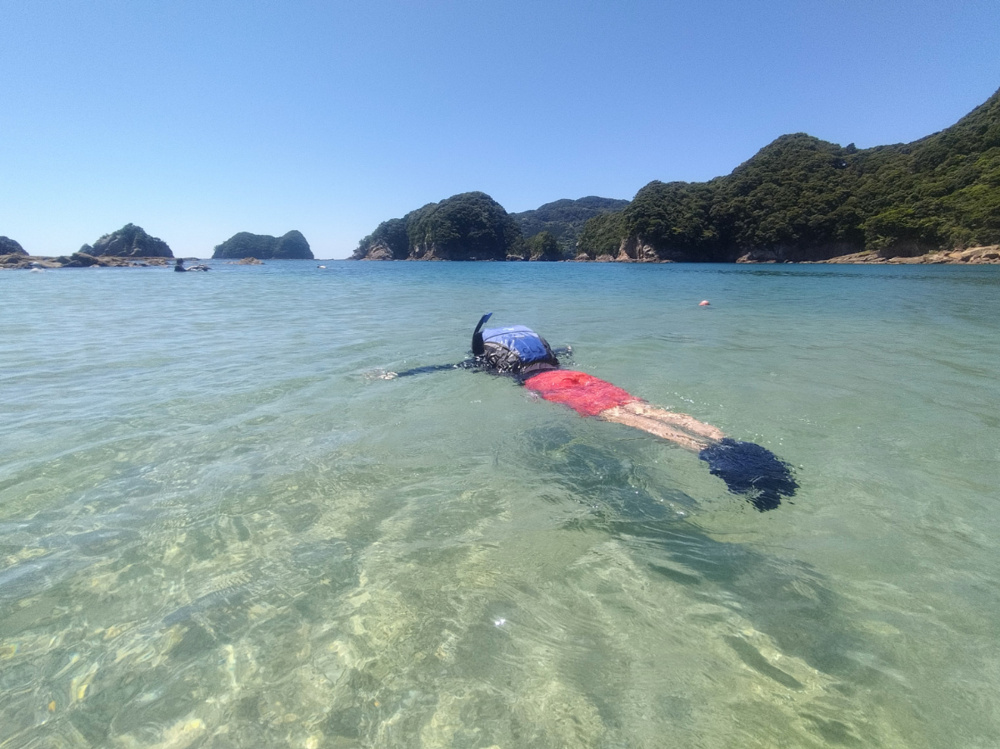 MIYAZAKI activity（2024.7.28-31）の画像