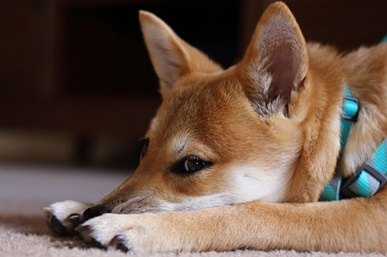 夏に…負けねぇ！！の画像