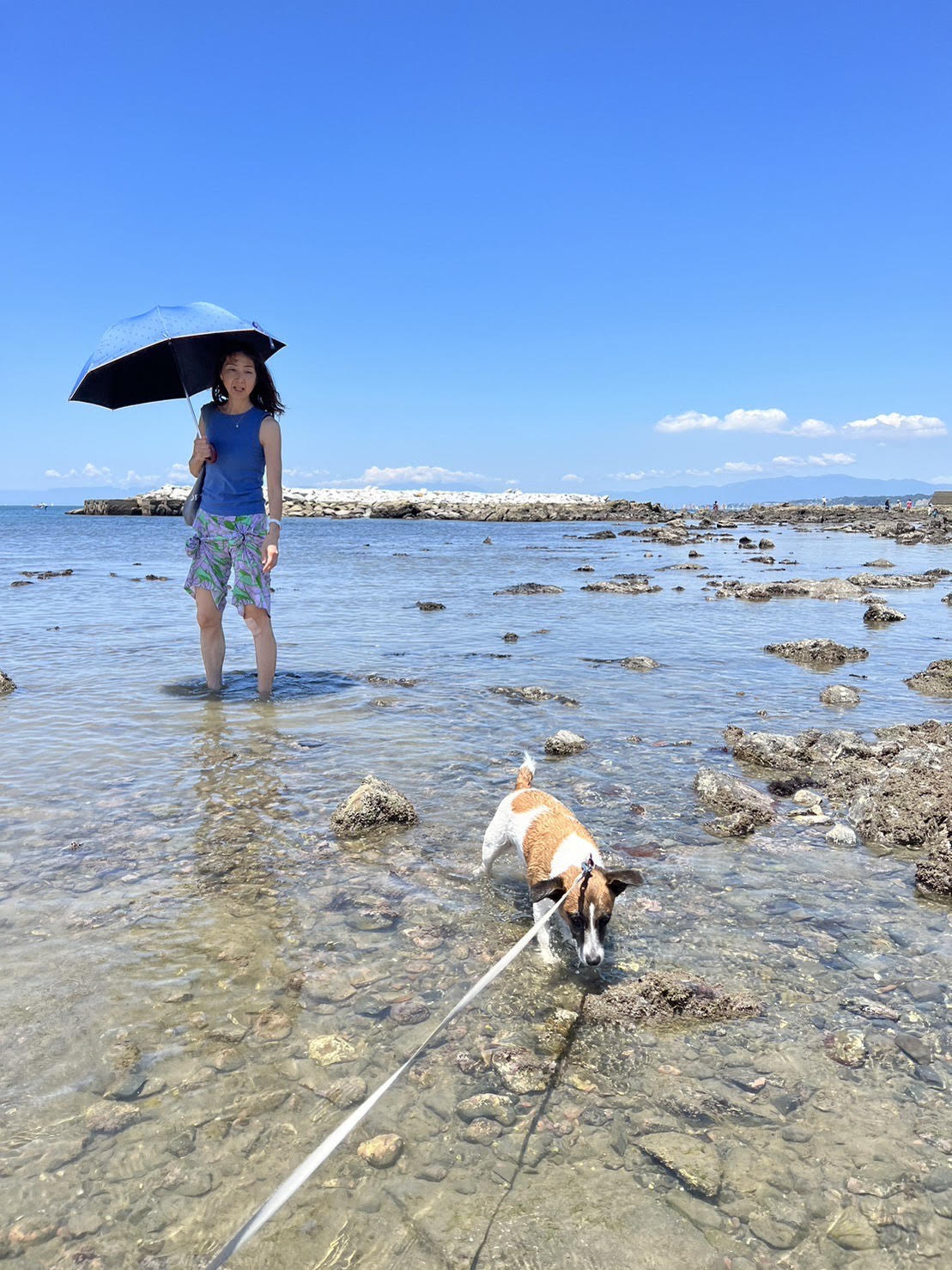 森戸海岸の画像