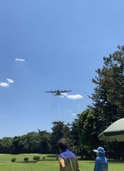 暑い熱い夏の画像