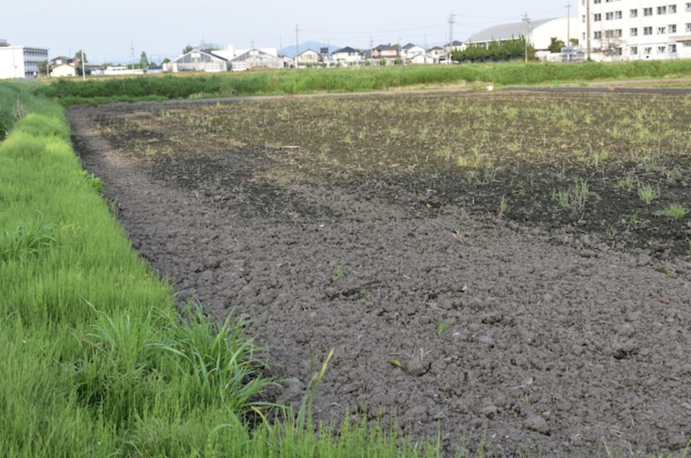 農地の相続手続きの画像