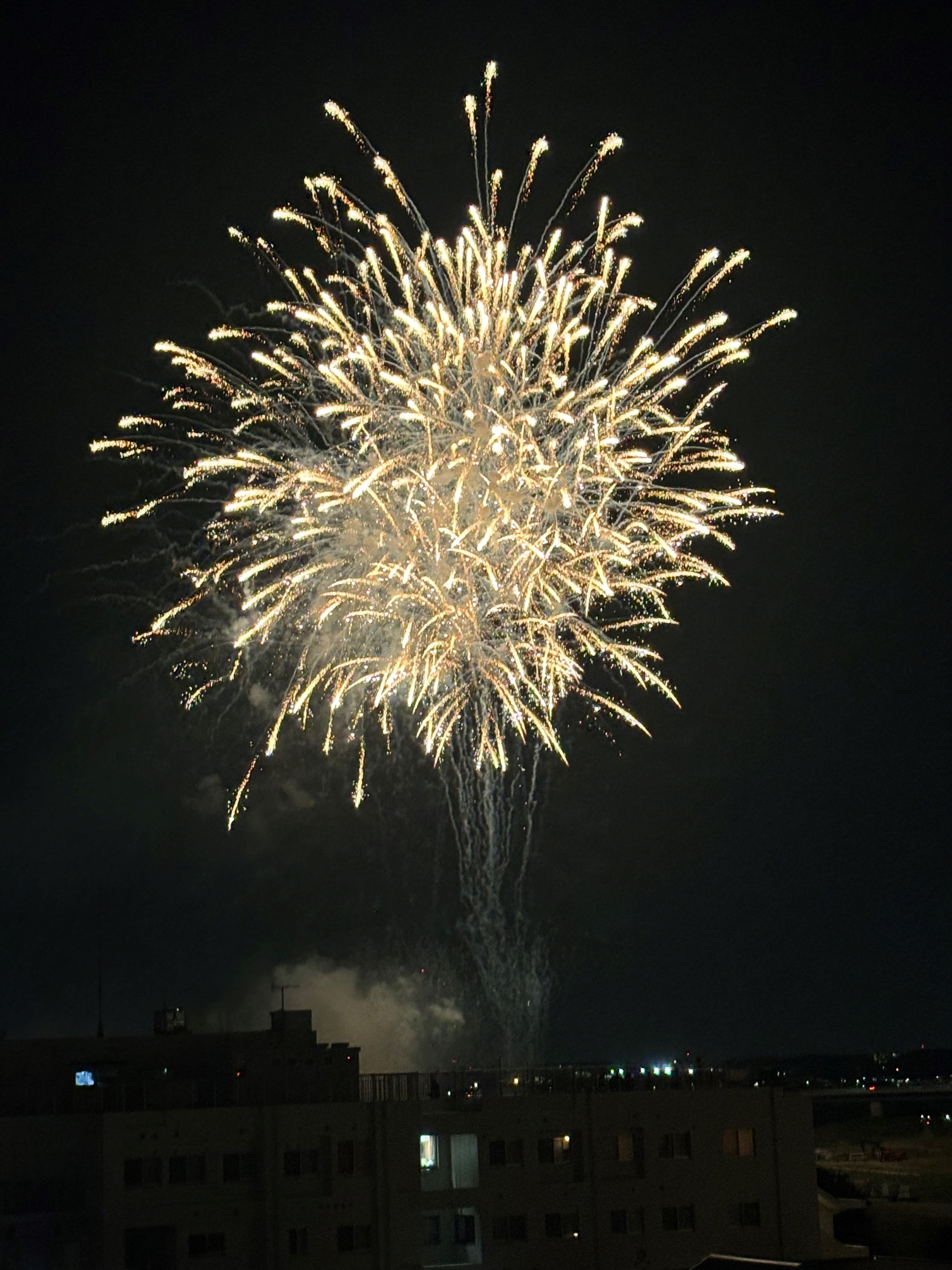 今年は・・・の画像