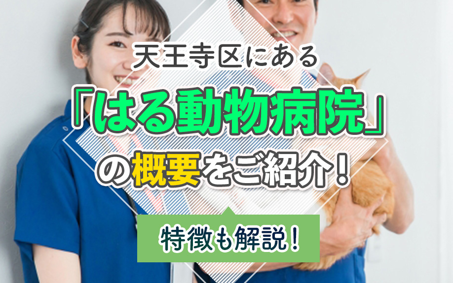 大阪市天王寺区にある「はる動物病院」の概要をご紹介！特徴も解説！の画像