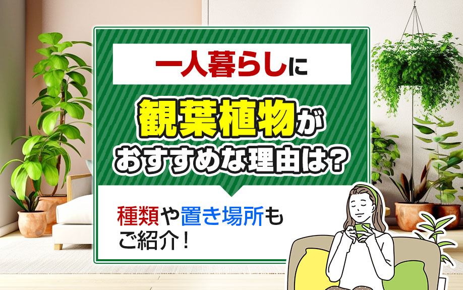 一人暮らしに観葉植物がおすすめな理由は？種類や置き場所もご紹介！