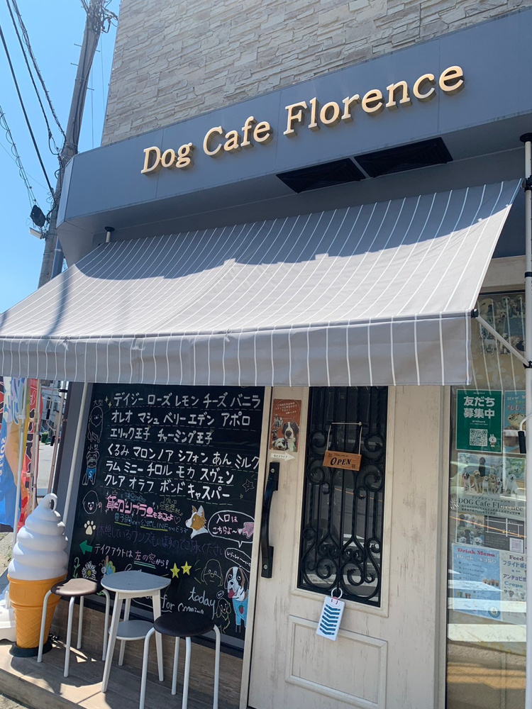 DogCafe  Florenceさん!(^^)!の画像
