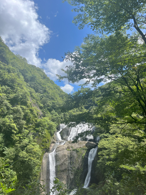 思い出その①の画像