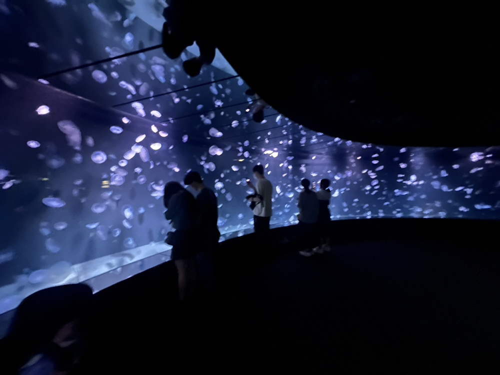 水族館♪の画像