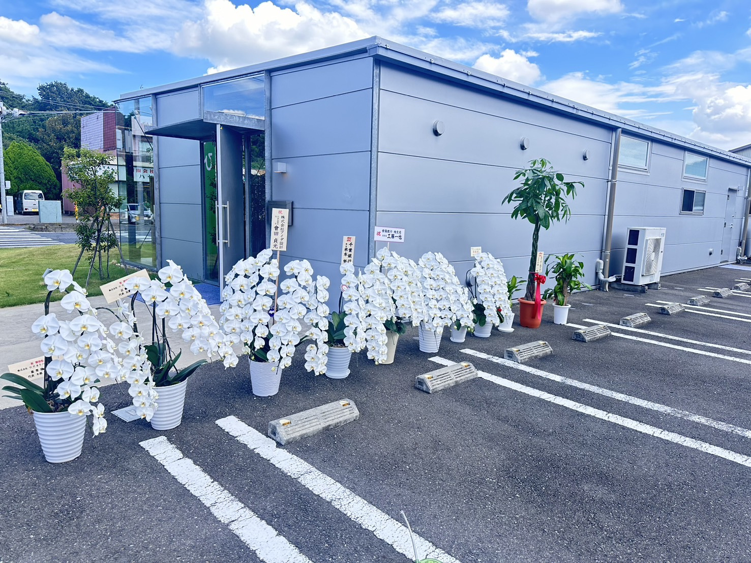 お花たちの画像