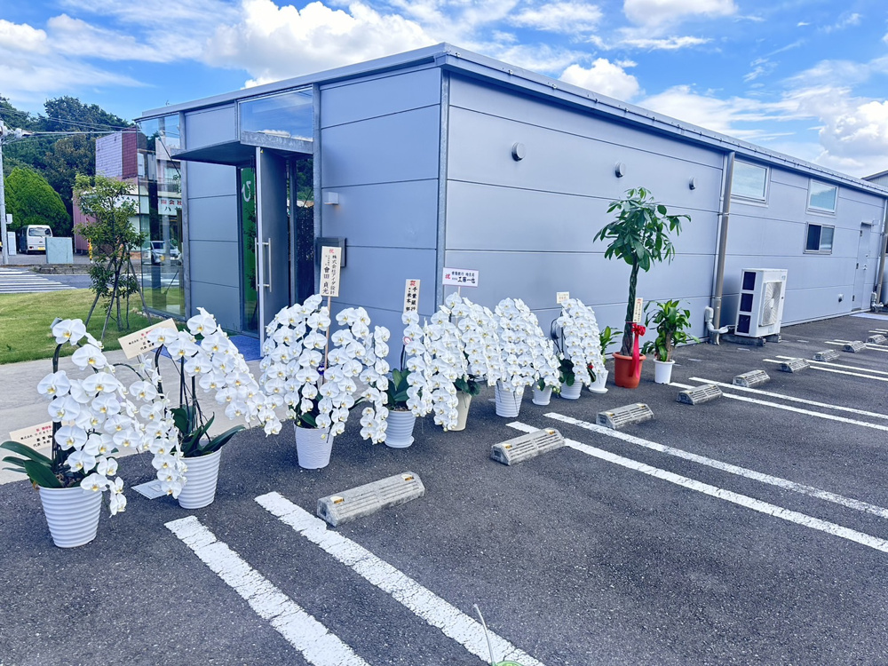 お花たちの画像