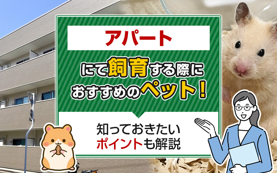 アパートにて飼育する際におすすめのペット！知っておきたいポイントも解説