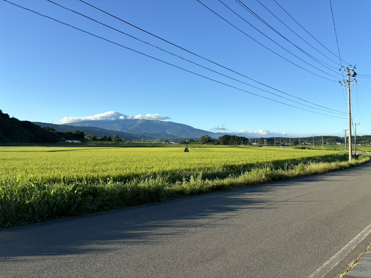 夏休みの画像