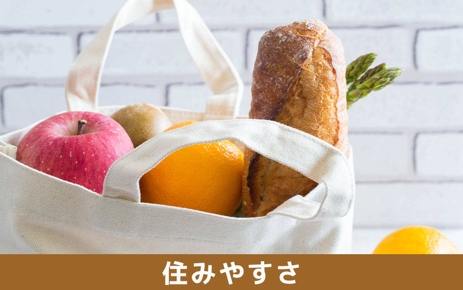 近鉄奈良駅周辺の住みやすさ