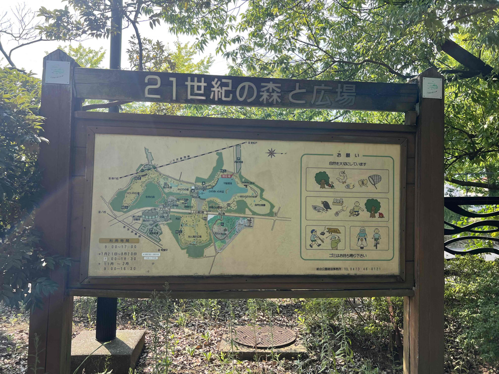 昆虫採取に行ってきました♪の画像