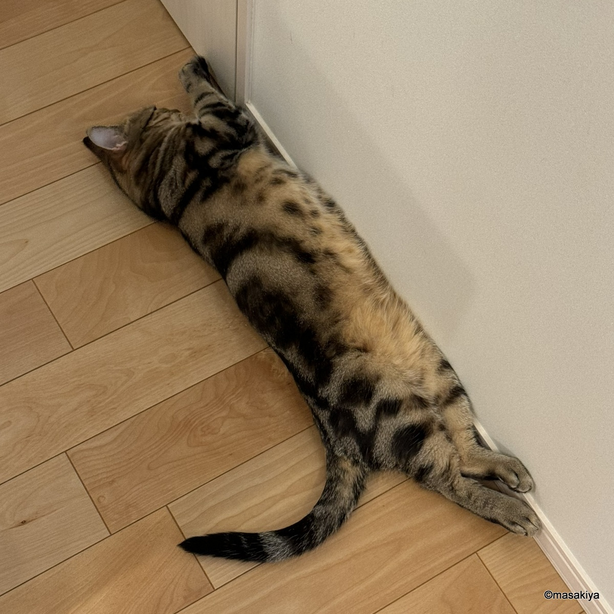 お盆明けの画像