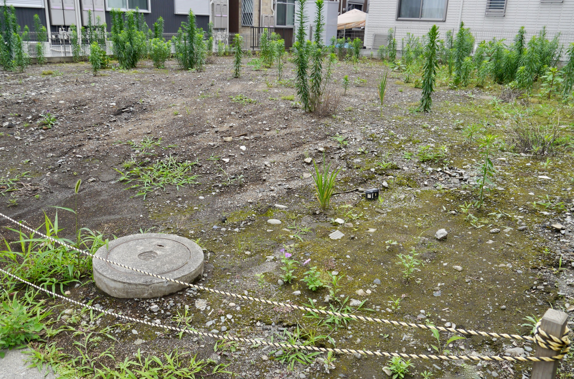 地目の種類とその違い：土地購入の際に押さえておくべきポイントの画像